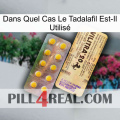 Dans Quel Cas Le Tadalafil Est-Il Utilisé new06
